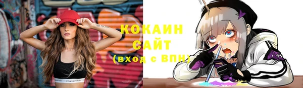 стаф Сафоново