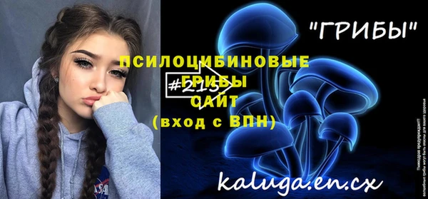 эйфоретик Алексин